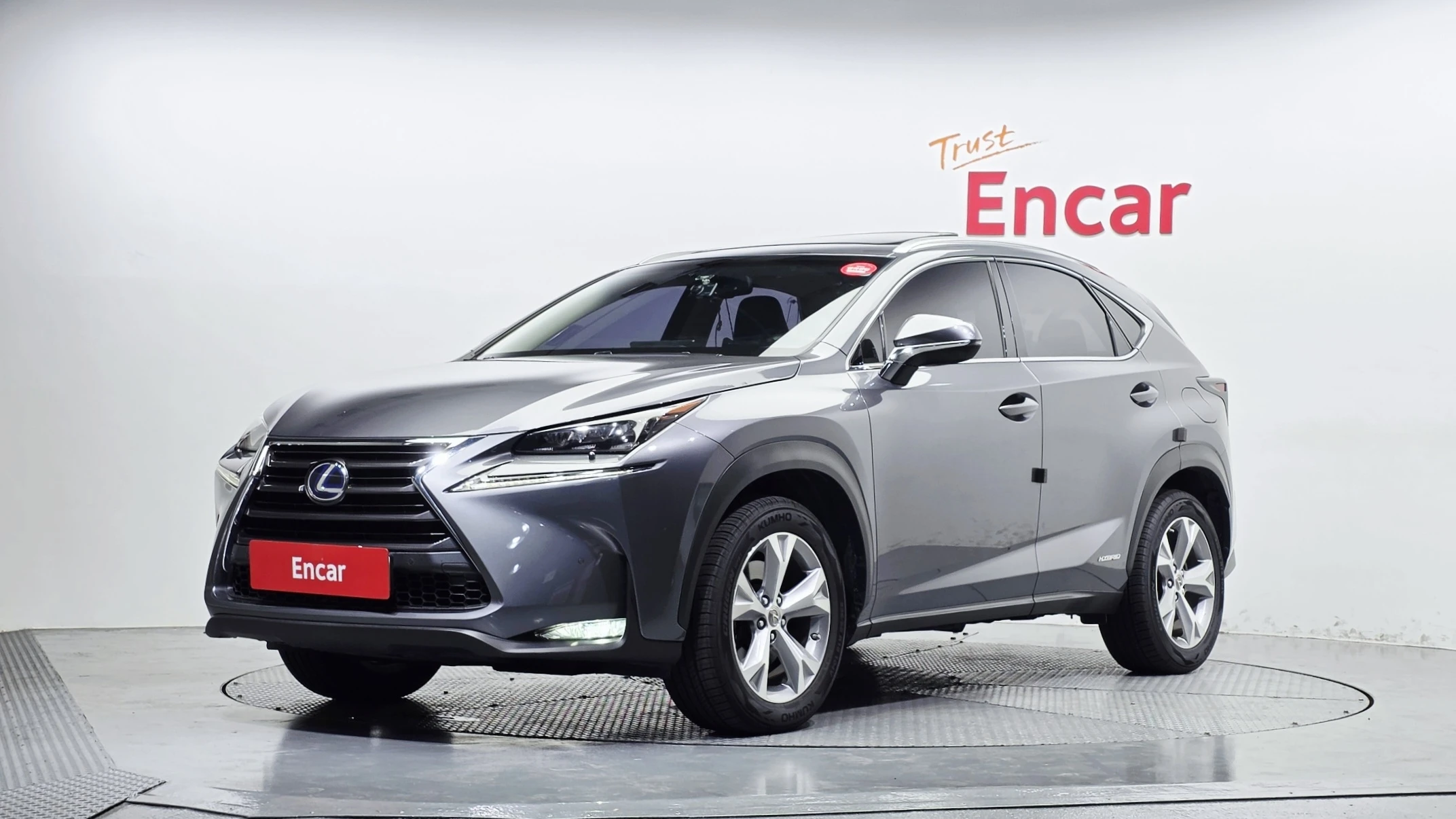 Lexus Nx NX300h