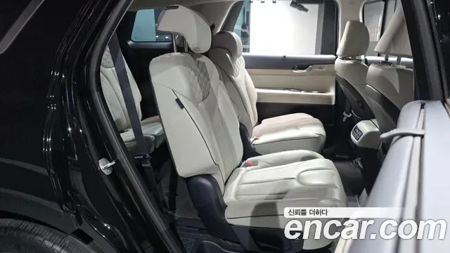 Hyundai Palisade, 2019 — фото 11