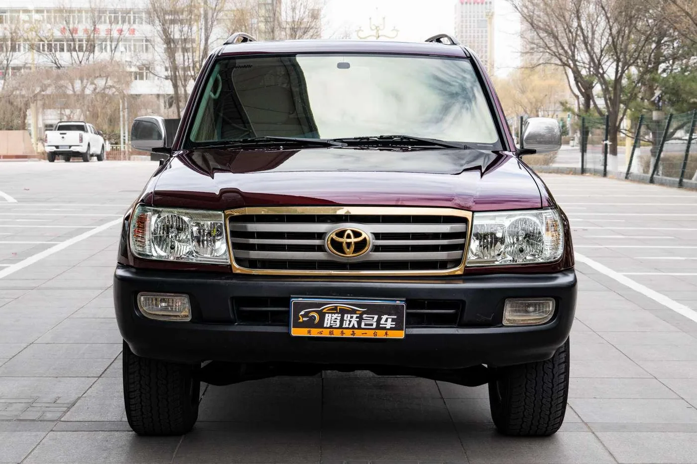Toyota Land Cruiser, 2003 — фото 2