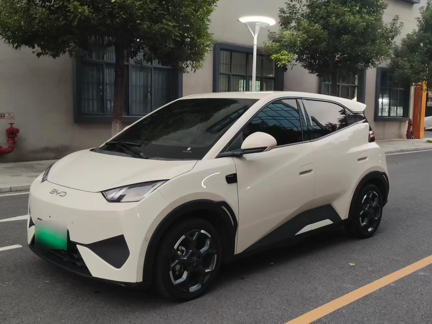 BYD seagull