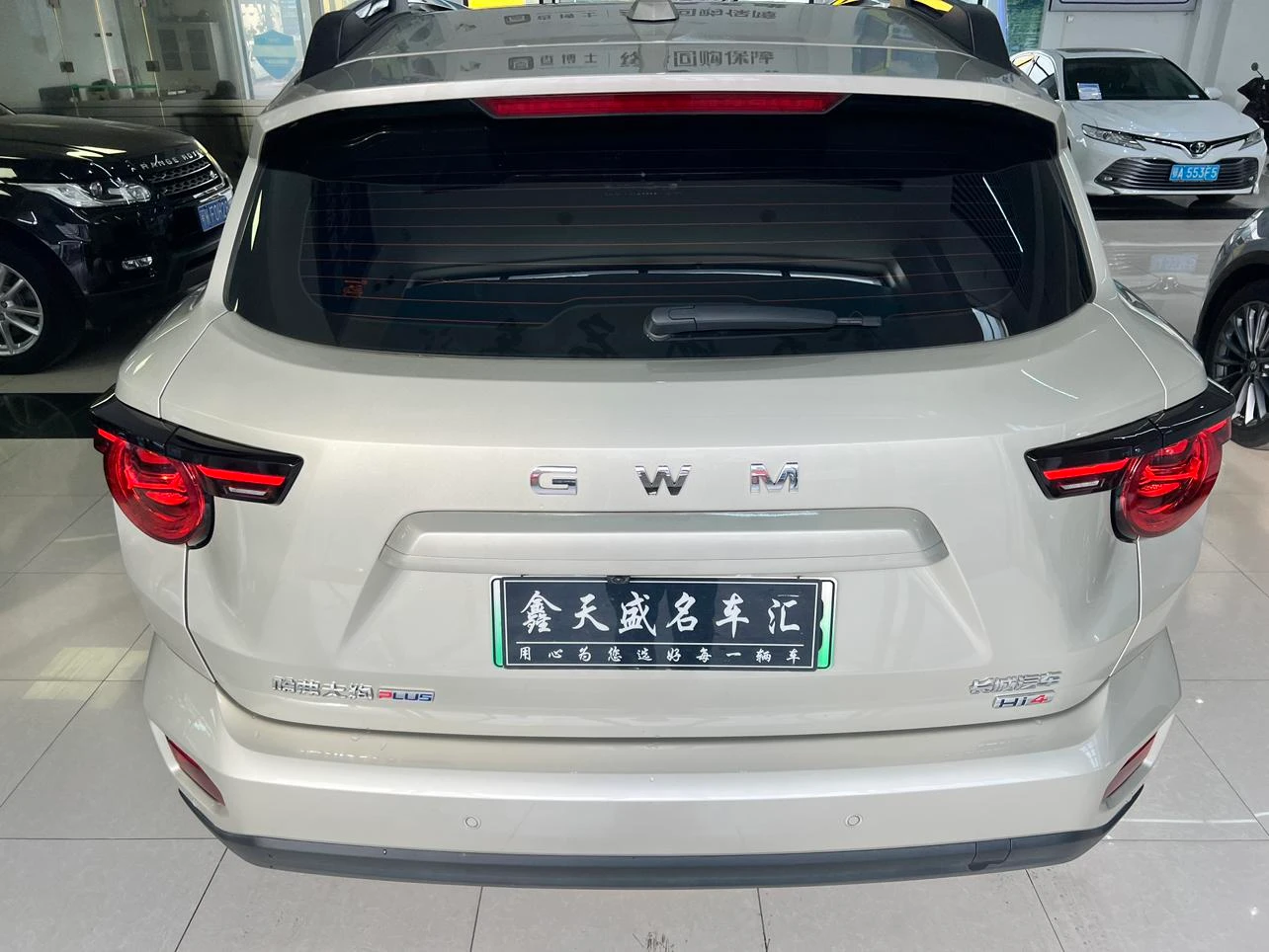 Haval Havaldog PLUS PHEV, 2026 — фото 12