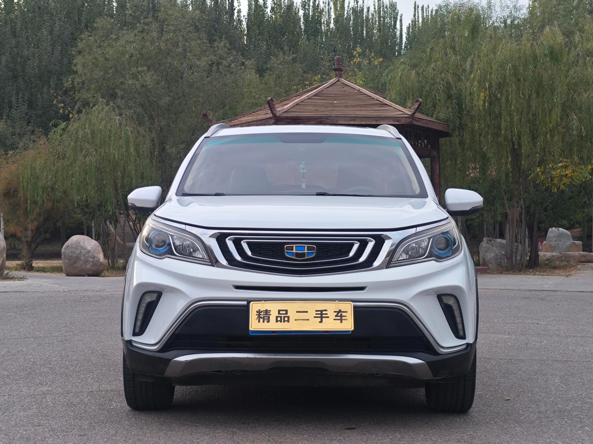 Geely Vision X3, 2017 — фото 2