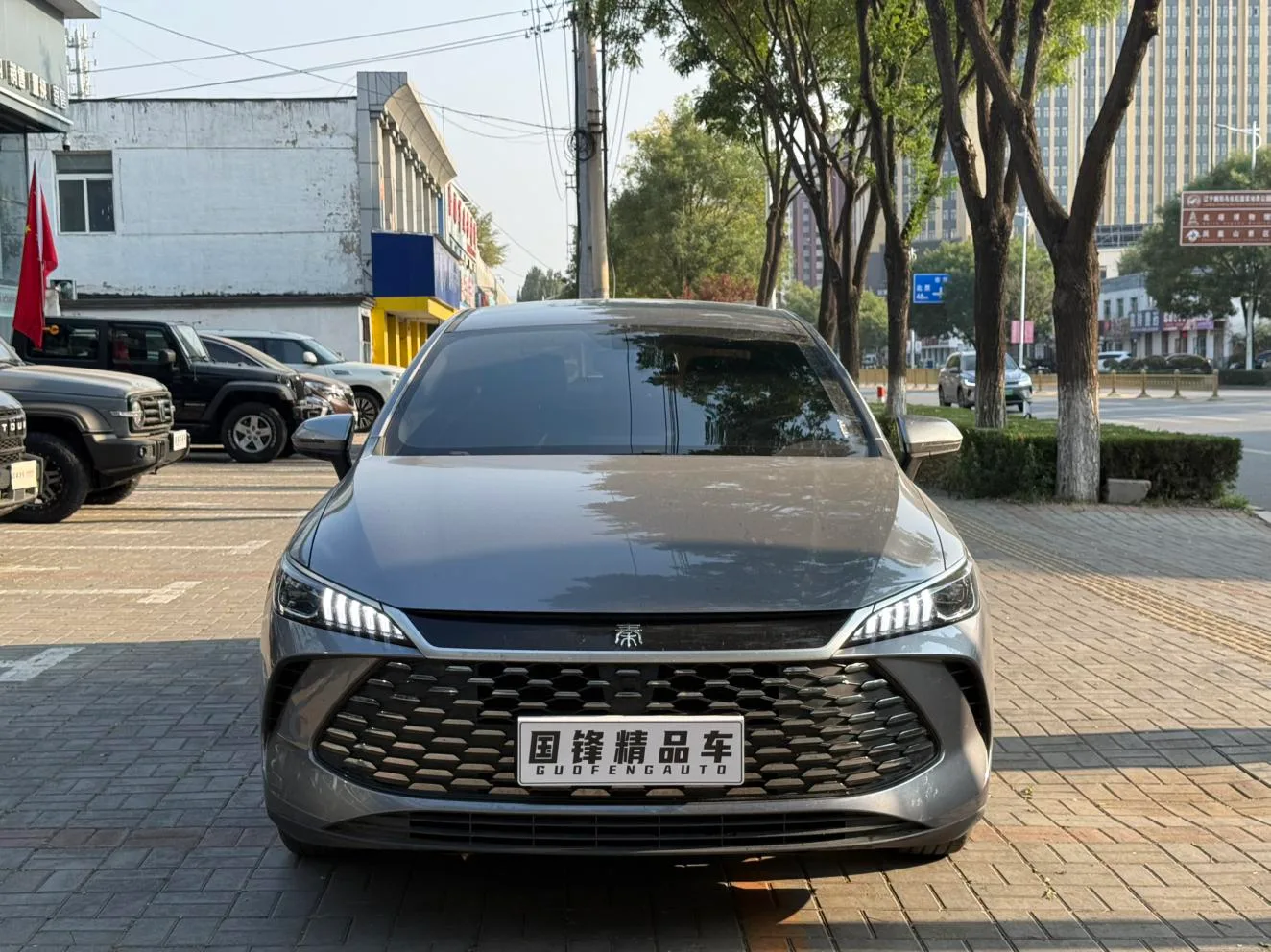 BYD Qin PLUS DM, 2026 — фото 2