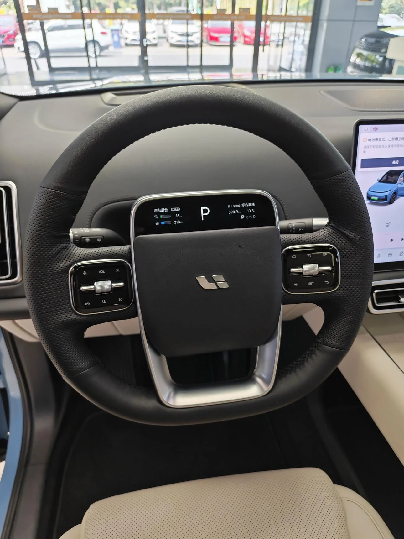 Li Auto Ideal L9, 2022 — фото 14