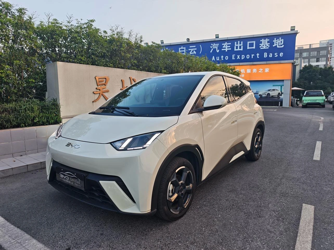 BYD seagull