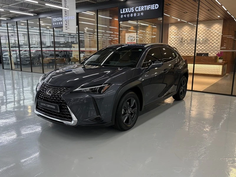 Lexus Ux UX300h