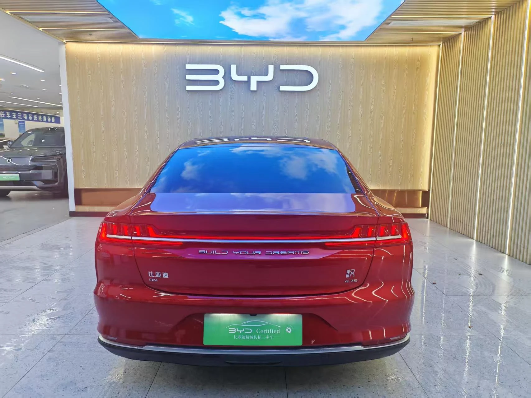 BYD Chinese DM, 2020 — фото 3