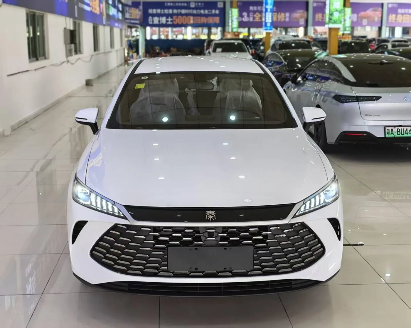 BYD Qin PLUS DM, 2026 — фото 2