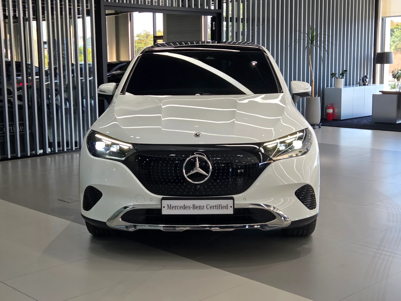 Mercedes-Benz Eqe SUV X294, 2026 — фото 3
