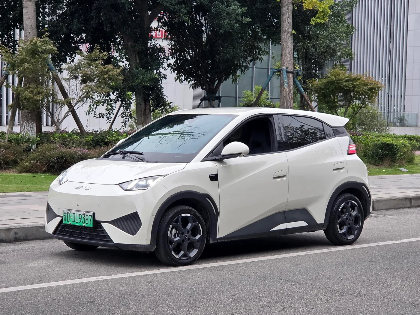 BYD seagull