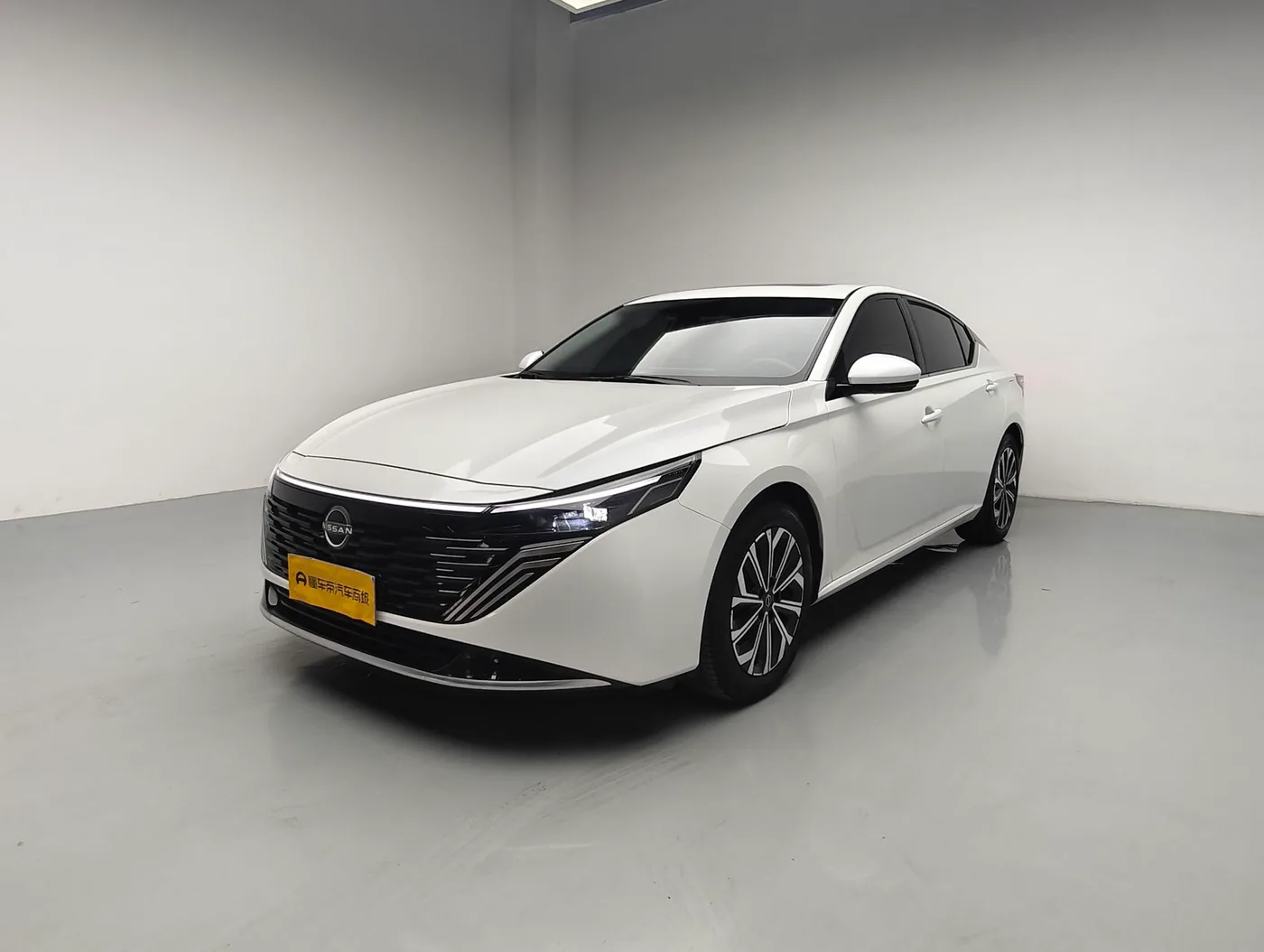 Nissan Sound of nature