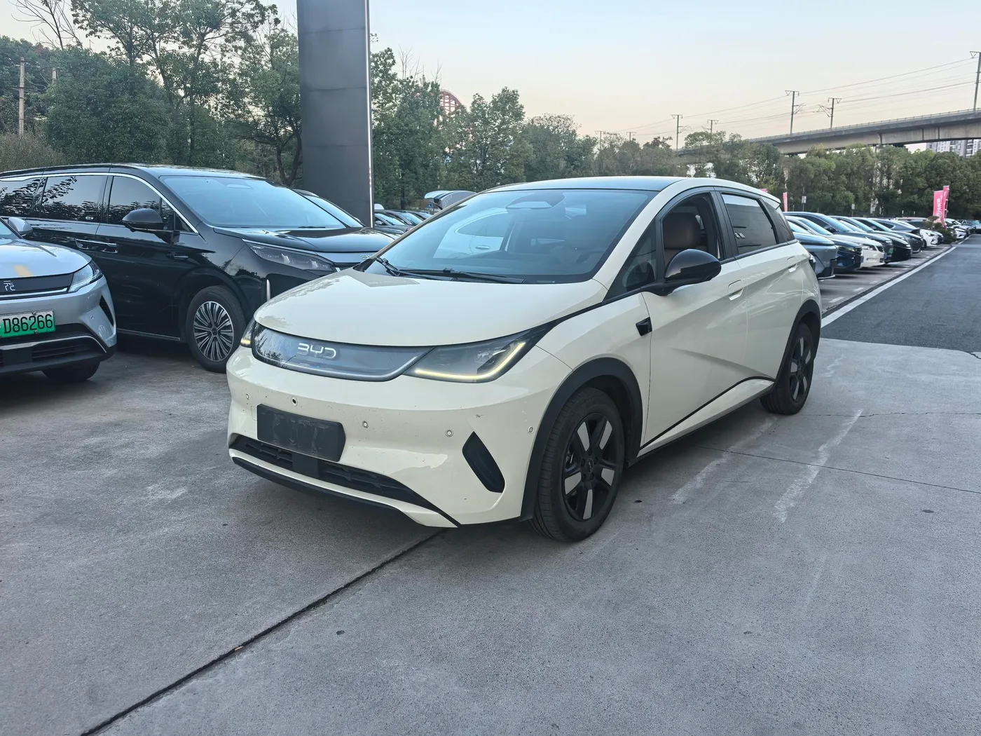 BYD dolphin