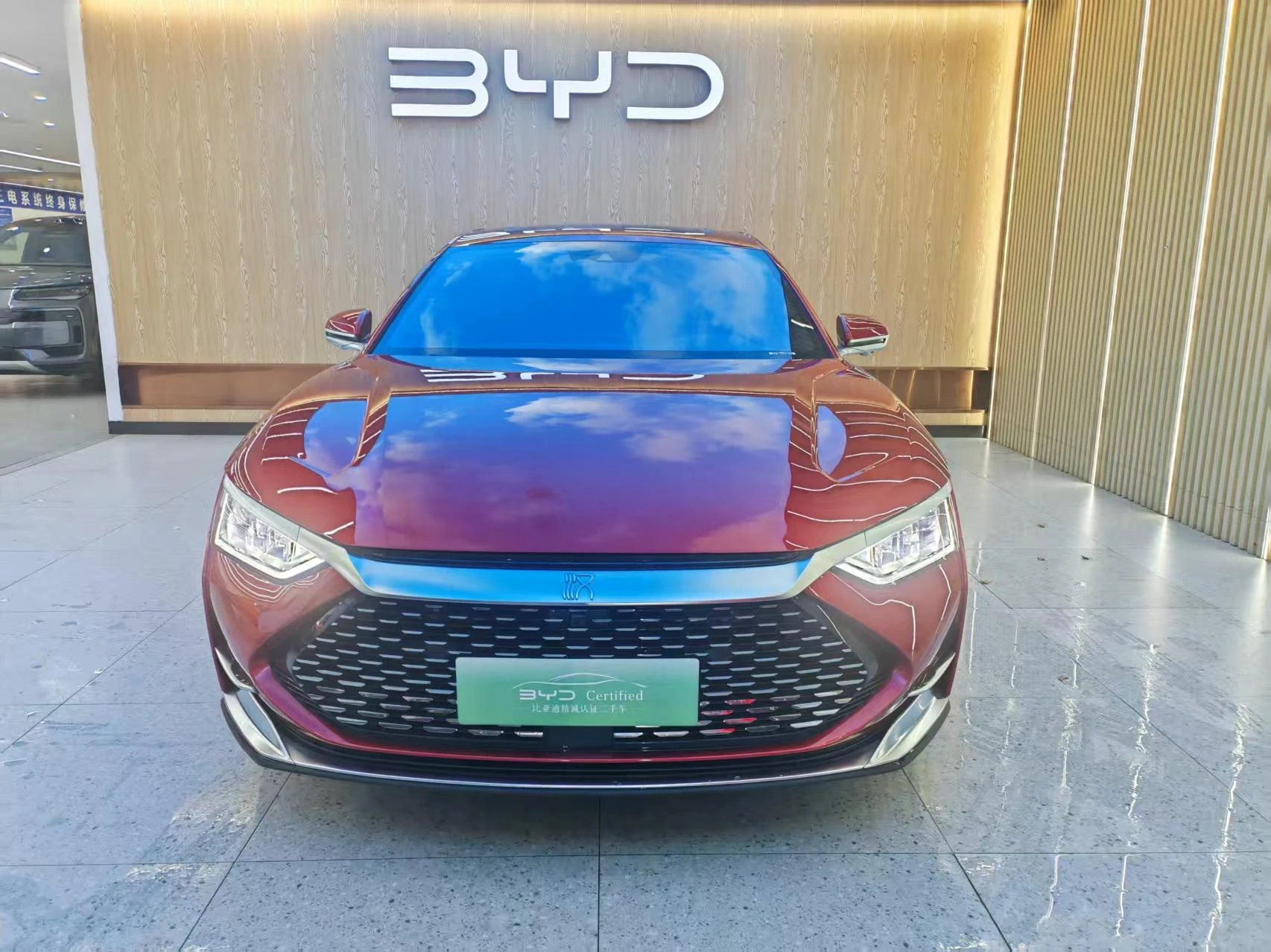 BYD Chinese DM, 2020 — фото 2