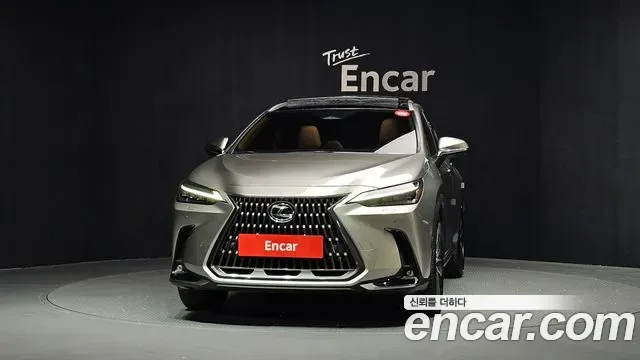Lexus Nx350h, 2025 — фото 2