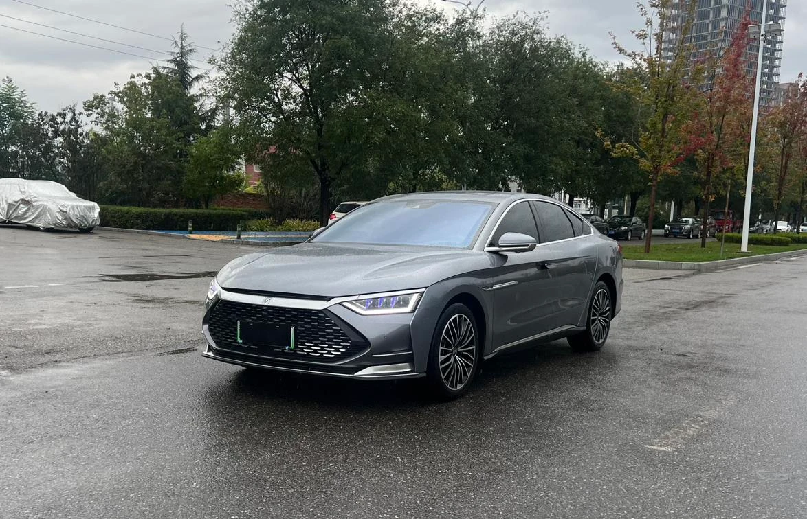 BYD Chinese DM