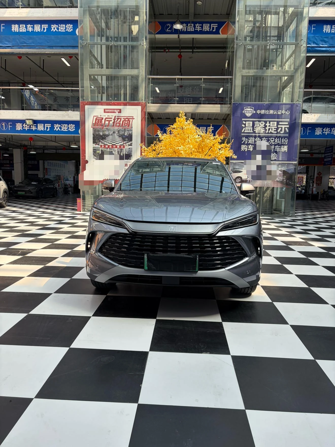 BYD Song L DM, 2026 — фото 2
