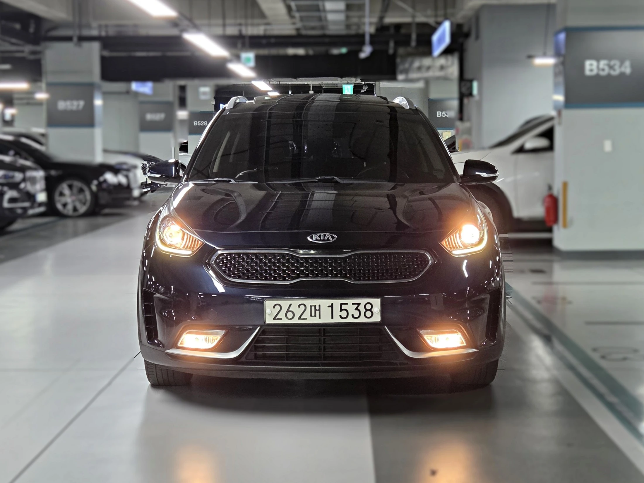 Kia Niro, 2017 — фото 3