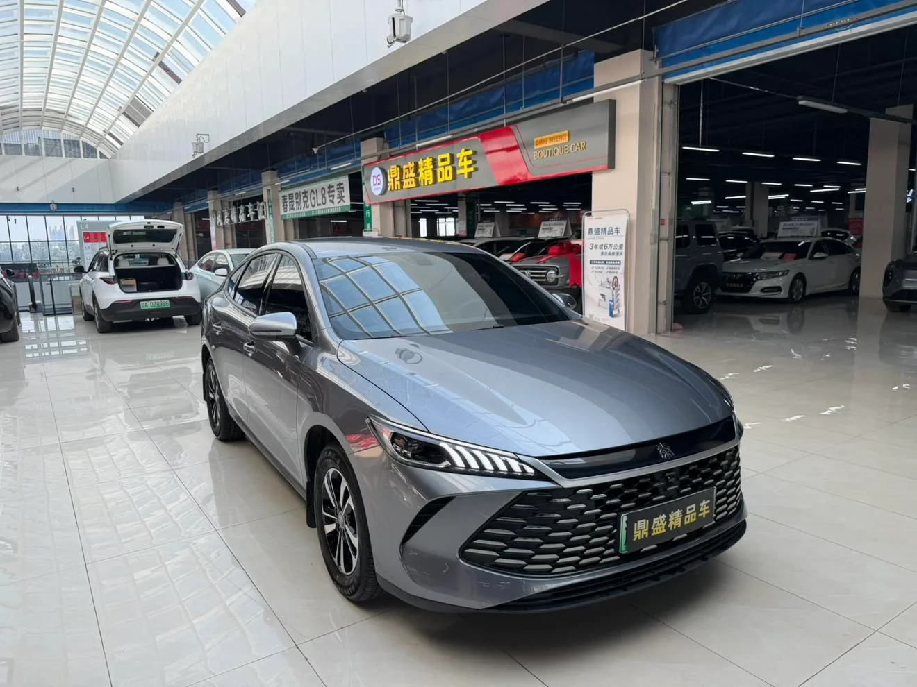 BYD Qin PLUS DM, 2026 — фото 3