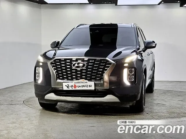 Hyundai Palisade, 2019 — фото 2
