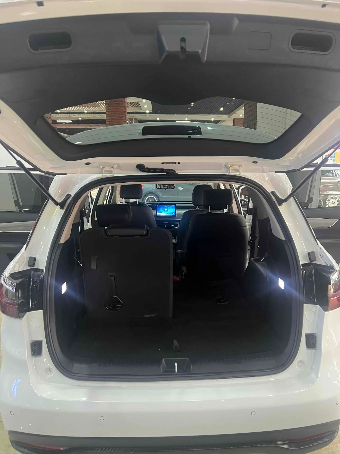 BYD SongMAX DM, 2019 — фото 29