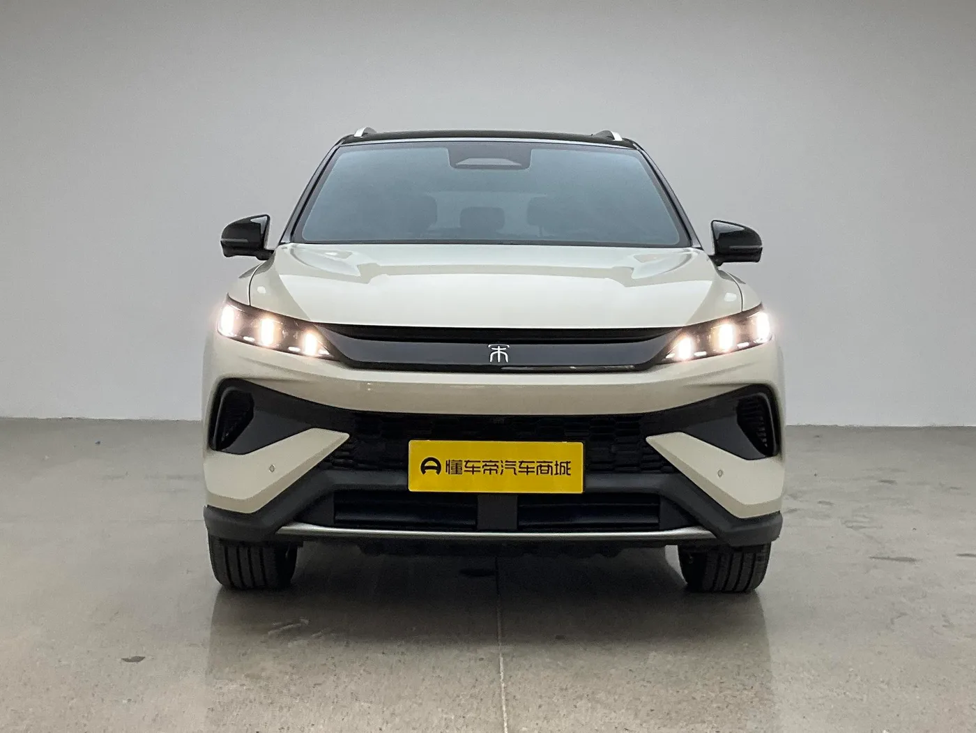 BYD Song Pro DM, 2026 — фото 2