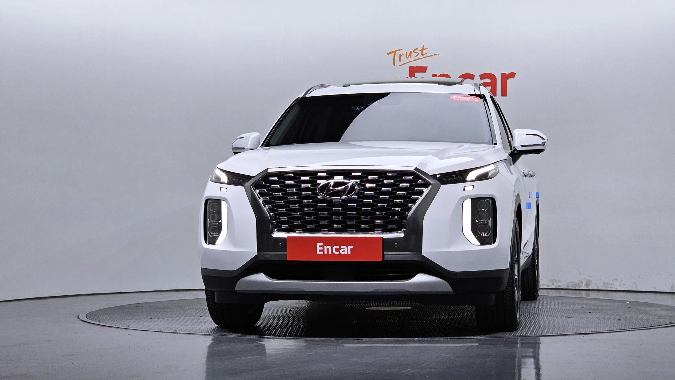 Hyundai Palisade, 2019 — фото 3
