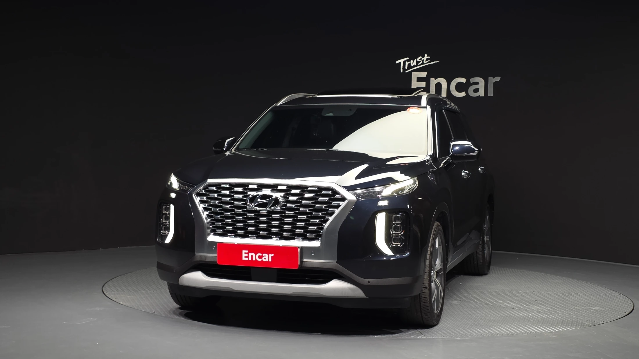 Hyundai Palisade, 2019 — фото 3