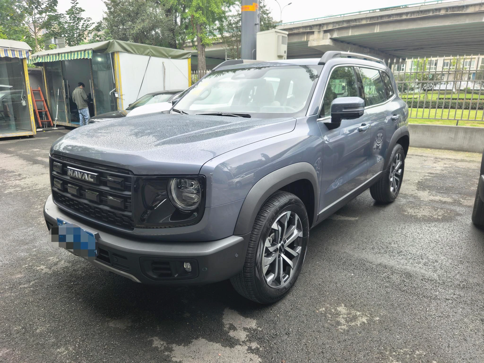 Haval Great Wall Dog