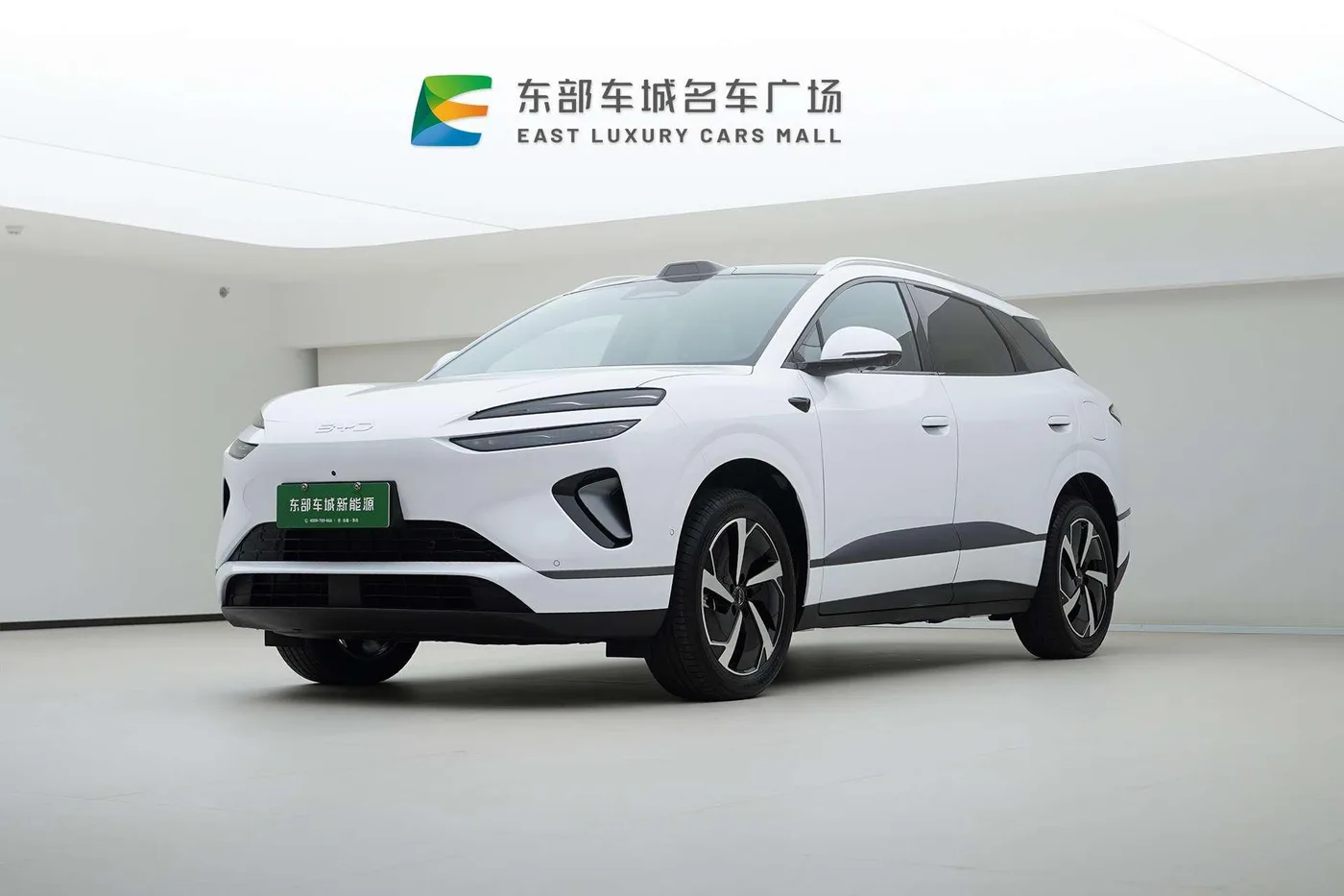 BYD Sea Lion 06DM