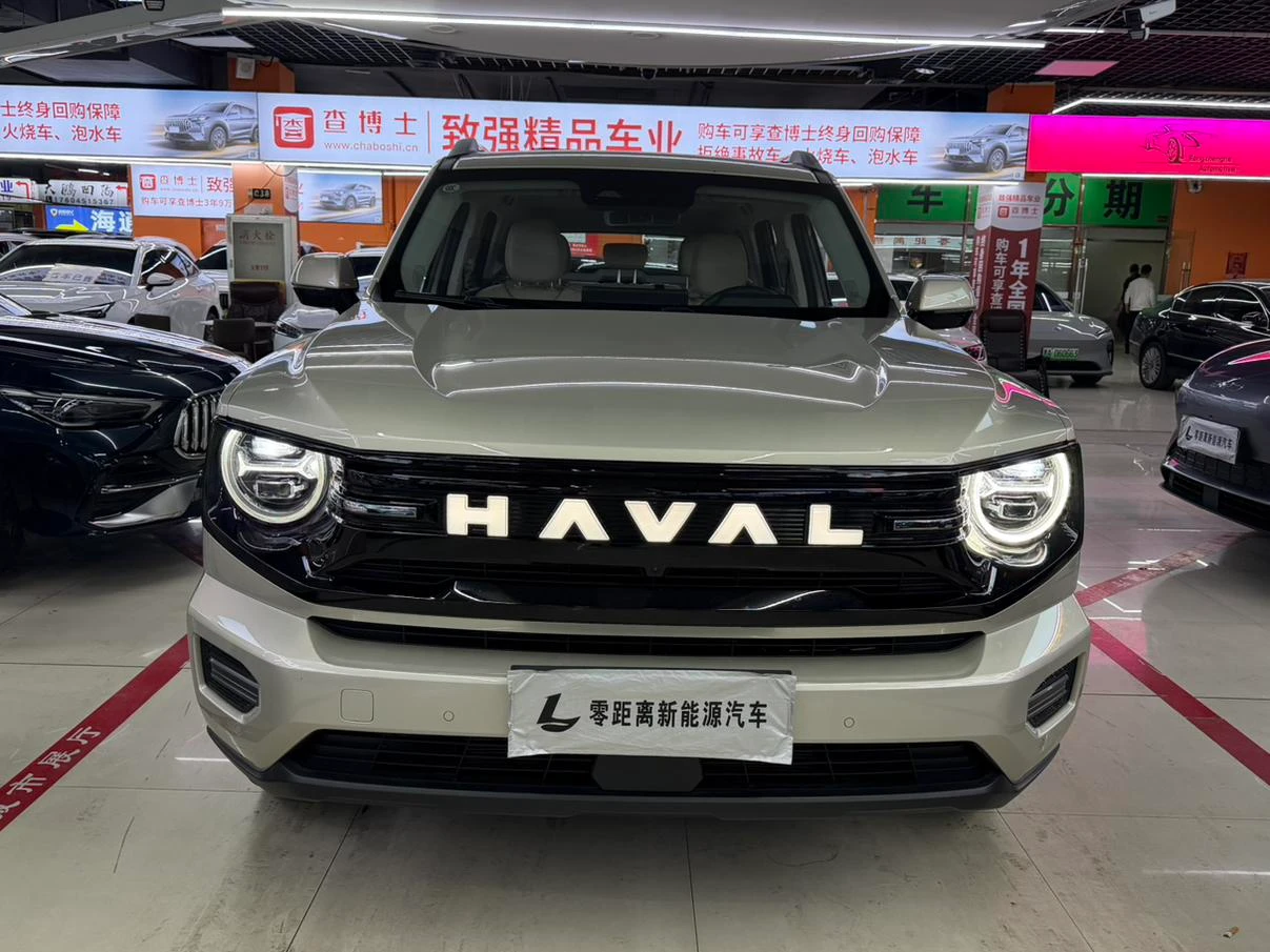 Haval Havaldog PLUS PHEV, 2026 — фото 2