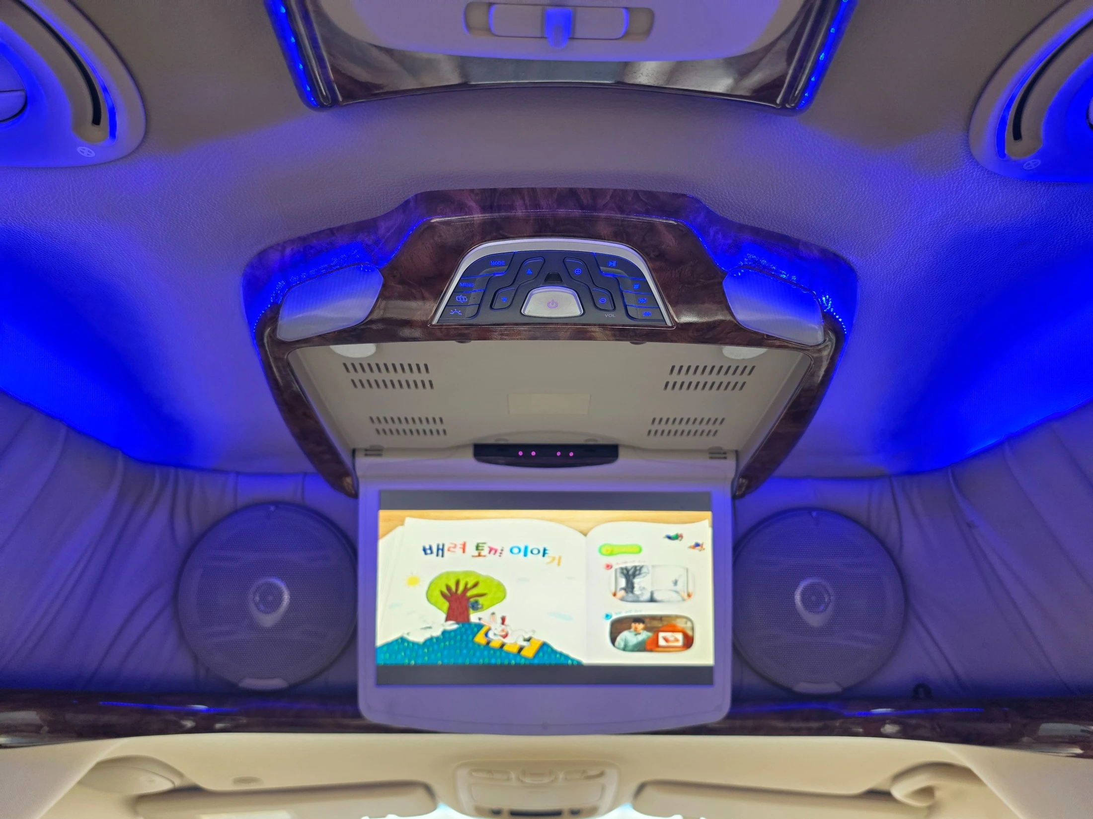 Kia Canival Carnival R, 2013 — фото 9