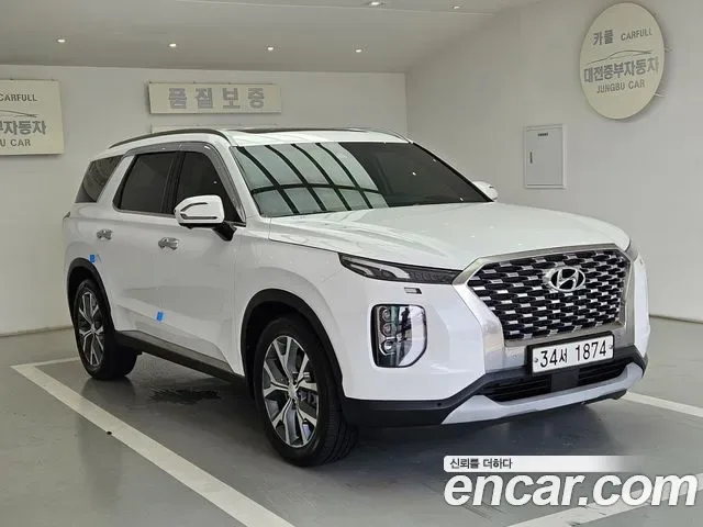 Hyundai Palisade, 2019 — фото 3