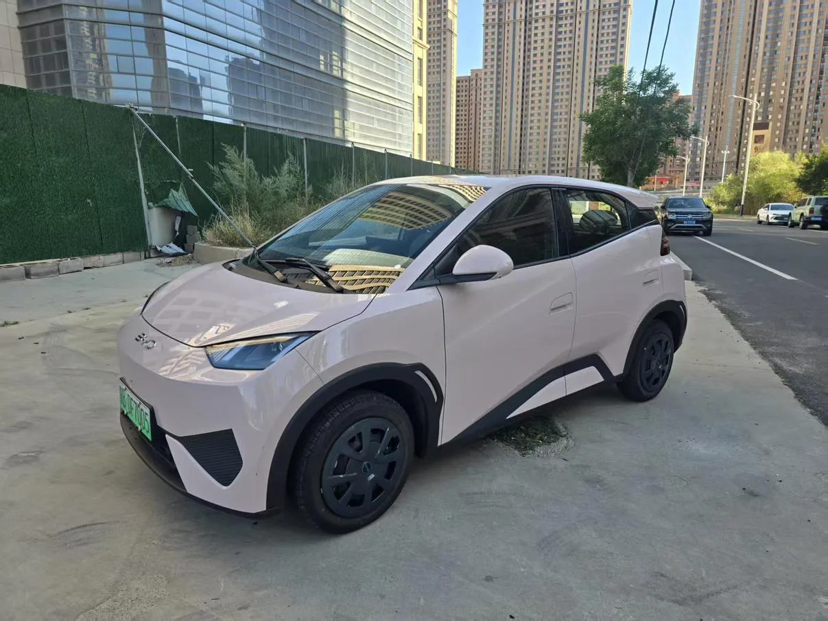 BYD seagull