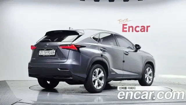 Lexus Nx NX300h, 2016 — фото 2