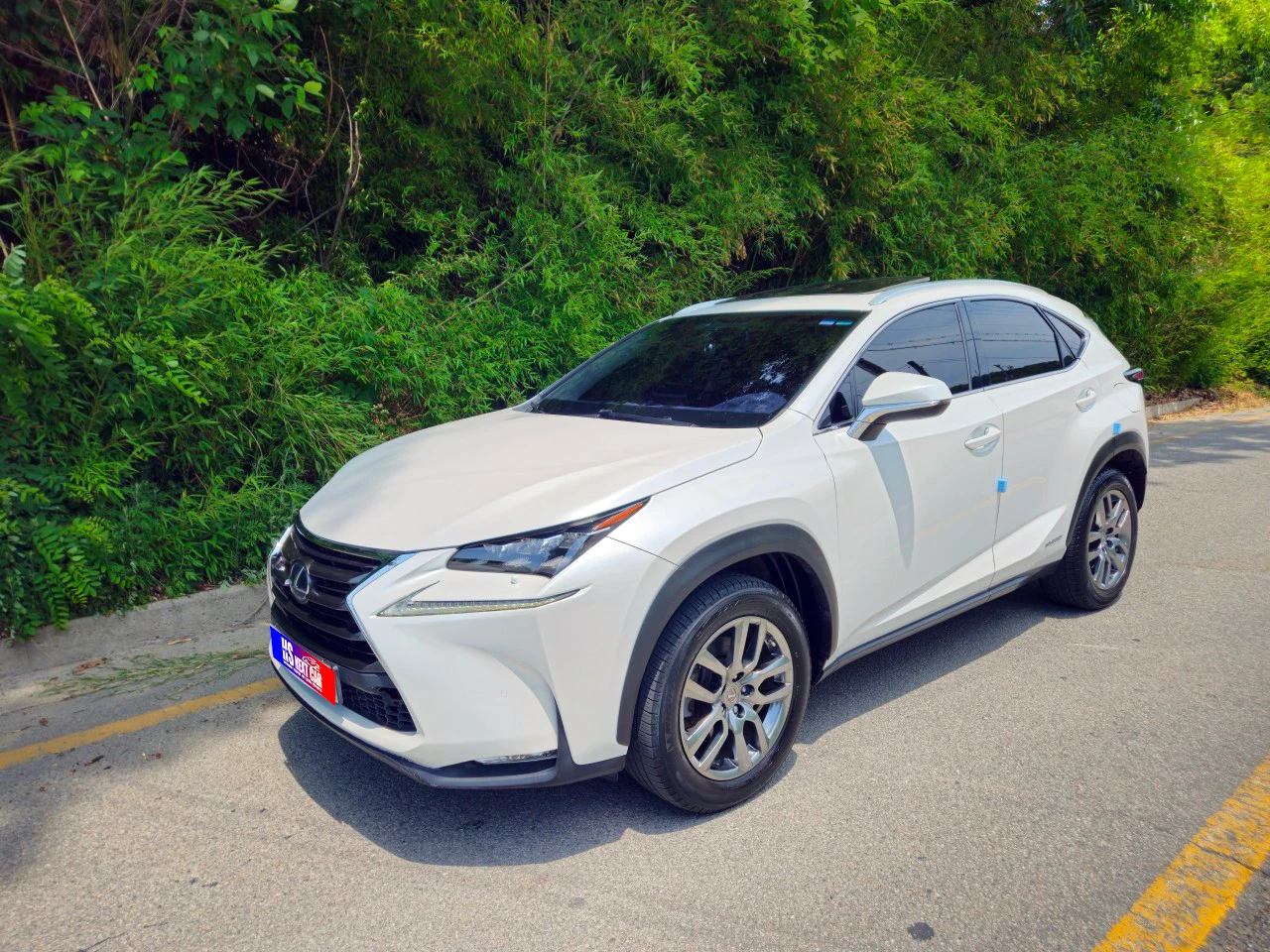 Lexus Nx NX300h