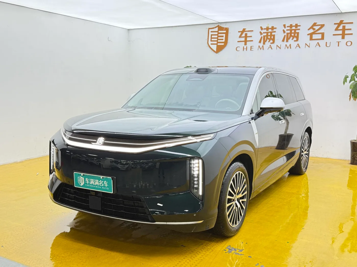 BYD Datang EV