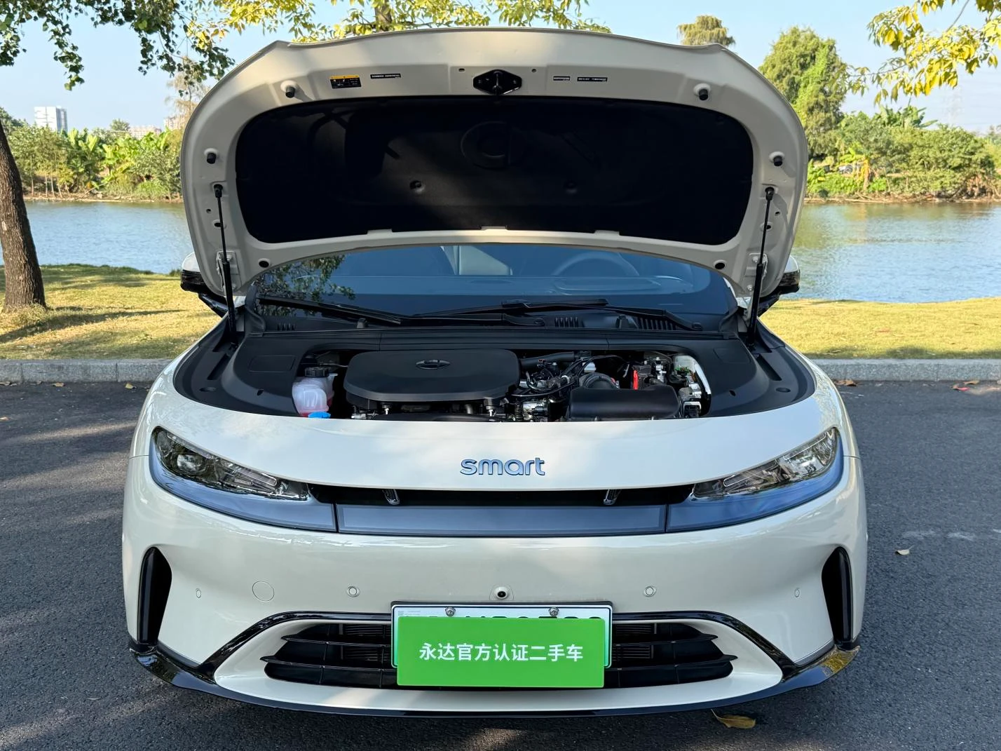 smart Elf #6 EHD super electric hybrid, 2026 — фото 3