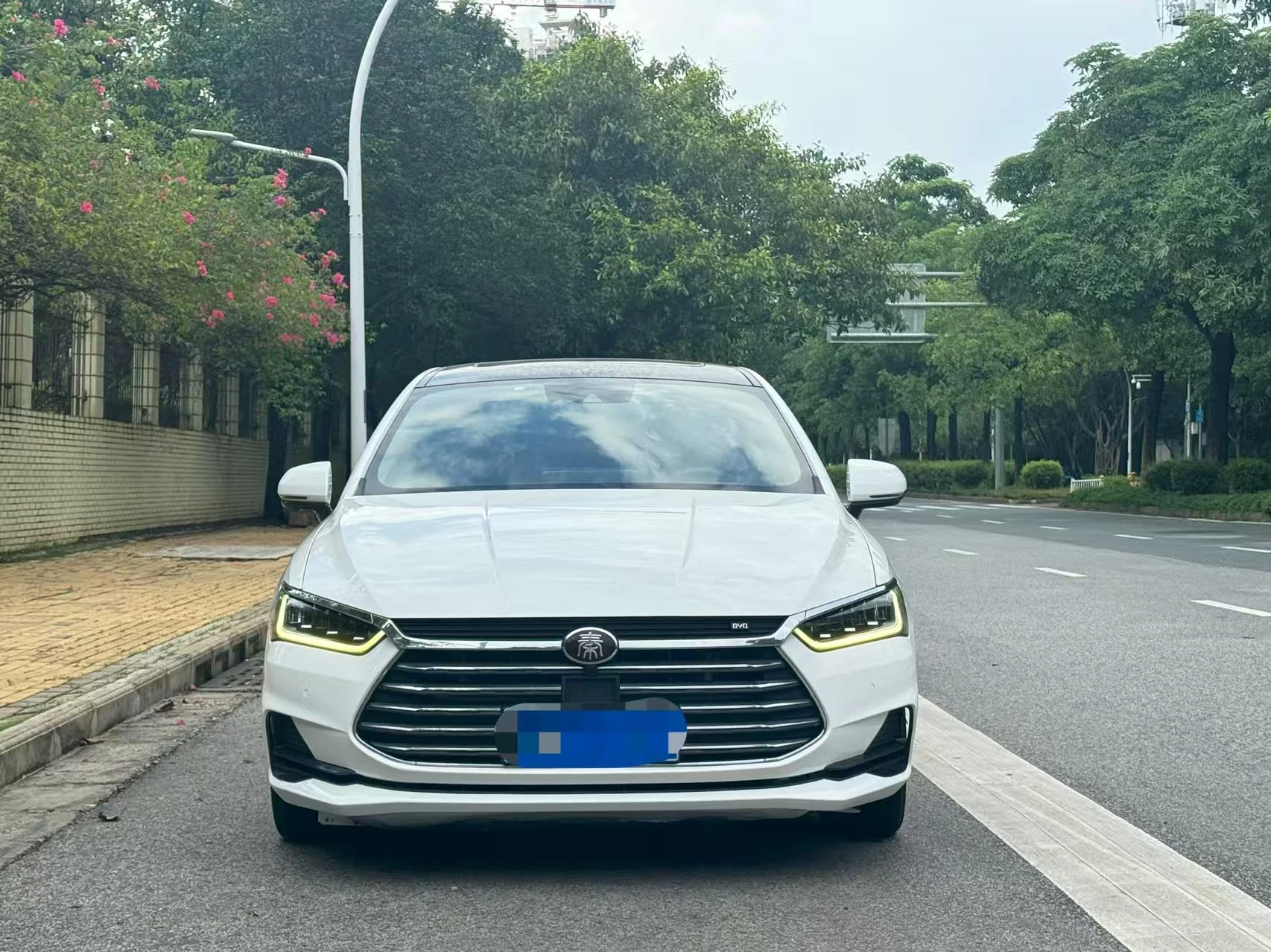 BYD Qin Pro, 2019 — фото 9