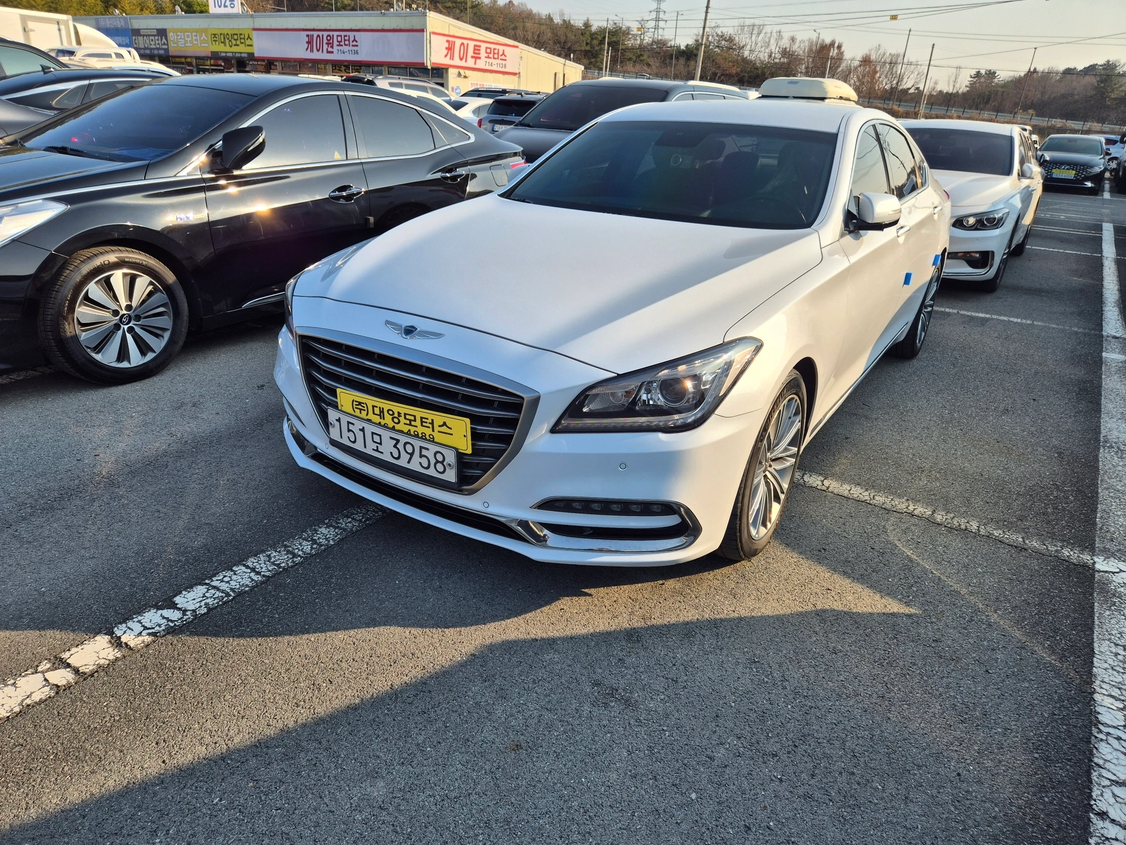 Genesis G80