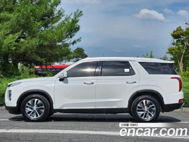 Hyundai Palisade, 2019 — фото 5