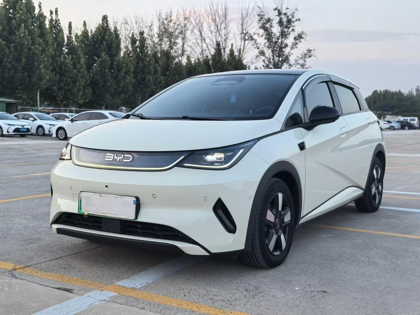 BYD dolphin