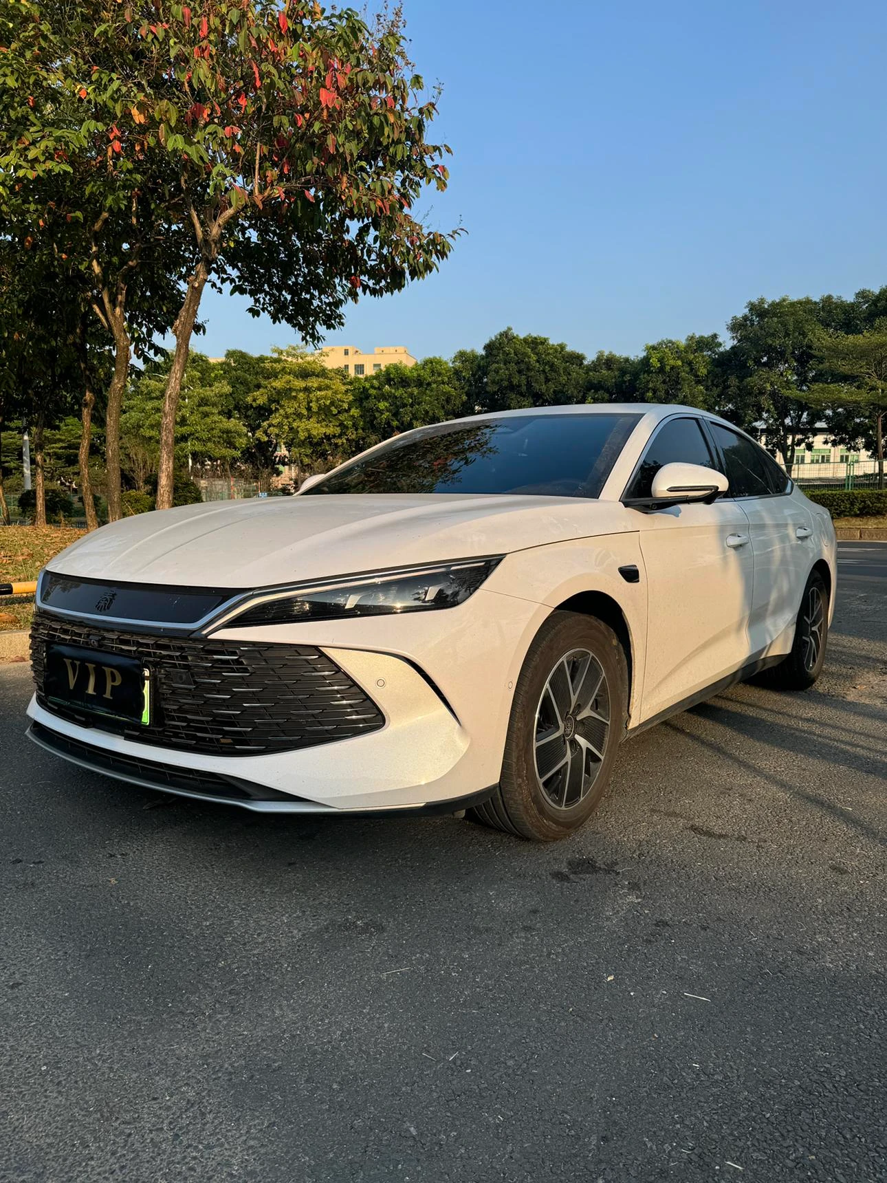 BYD Qin L DM