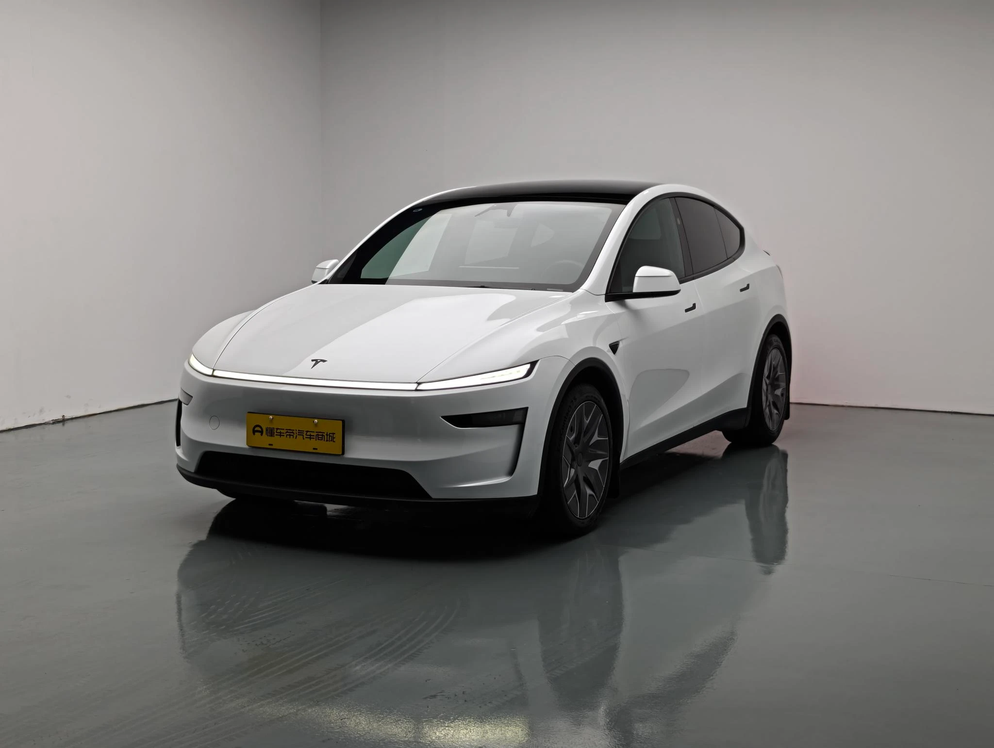 Tesla Model Y L
