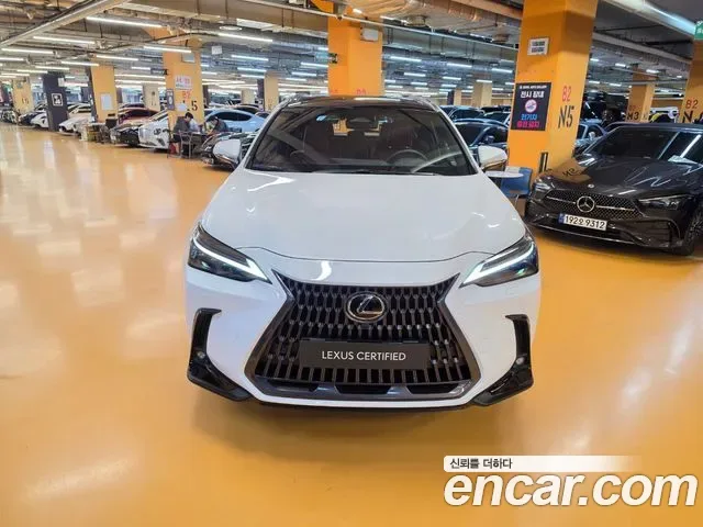 Lexus Nx NX350H, 2026 — фото 3