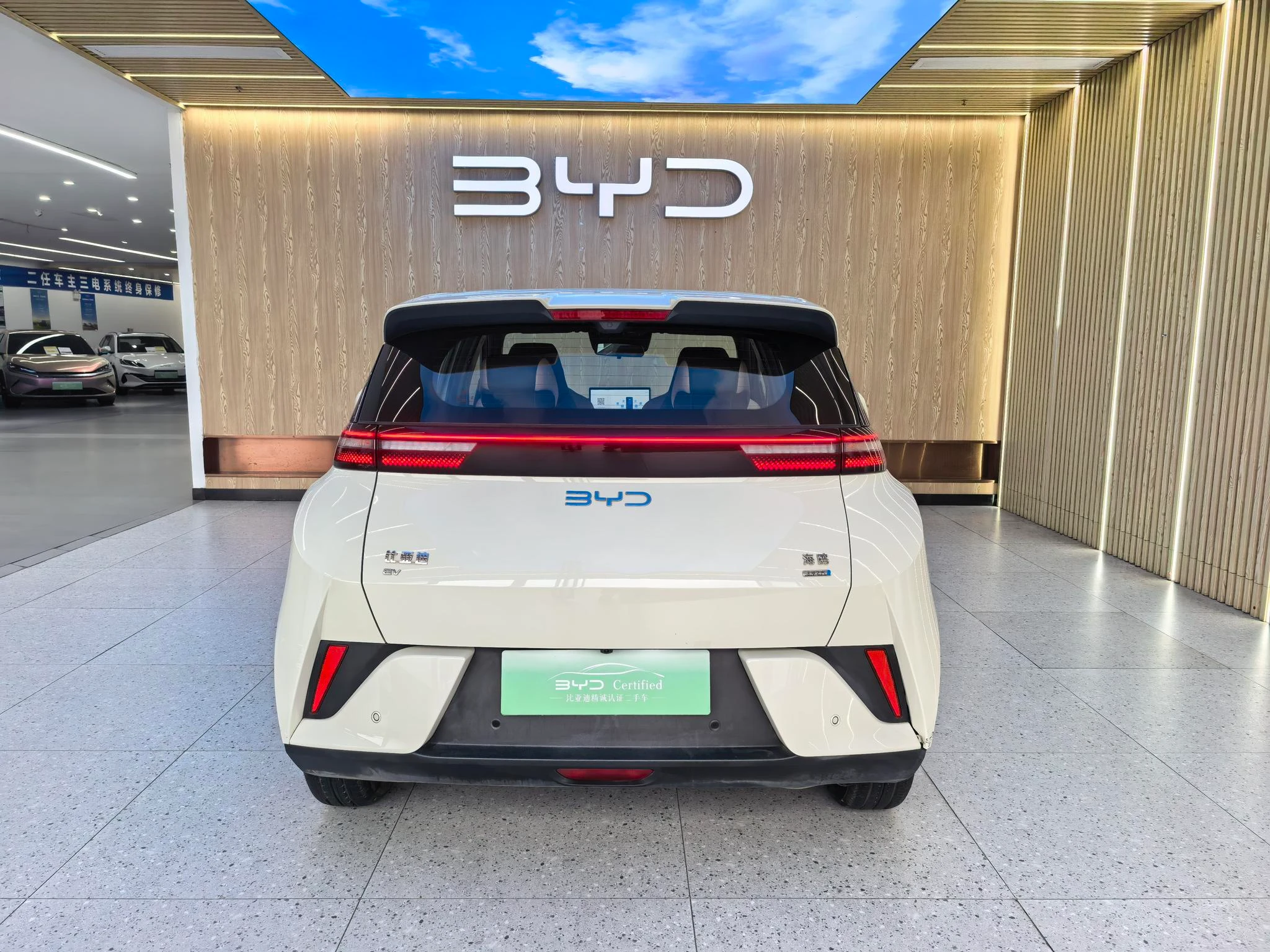 BYD seagull, 2025 — фото 5
