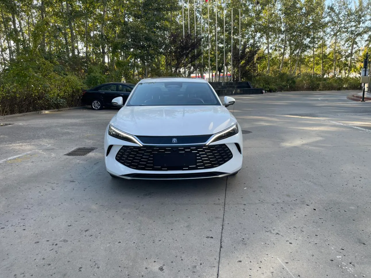 BYD Qin L DM, 2025 — фото 2