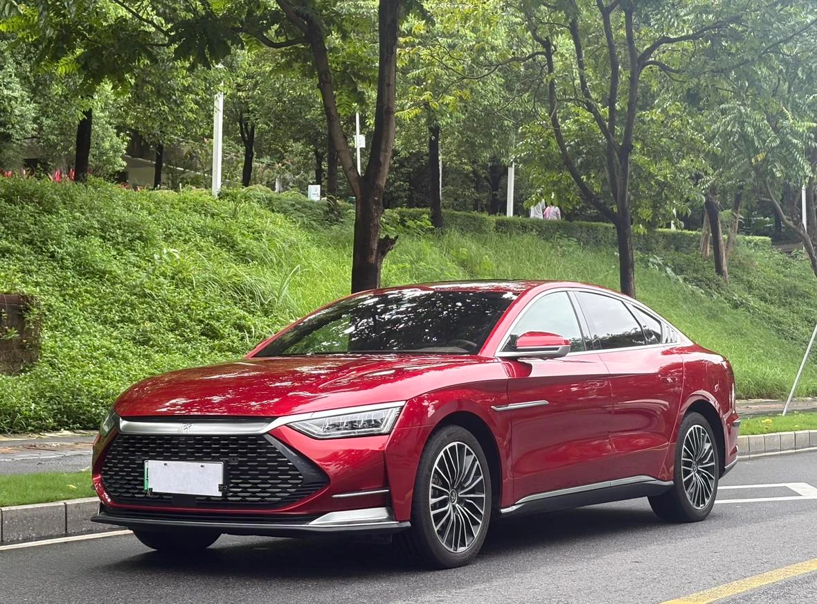 BYD Chinese DM