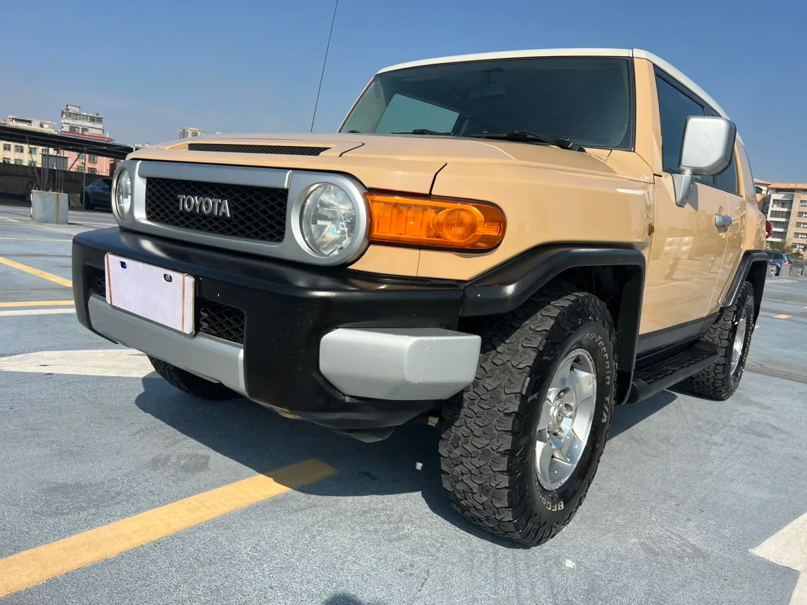 Toyota FJ Cruiser, 2007 — фото 9