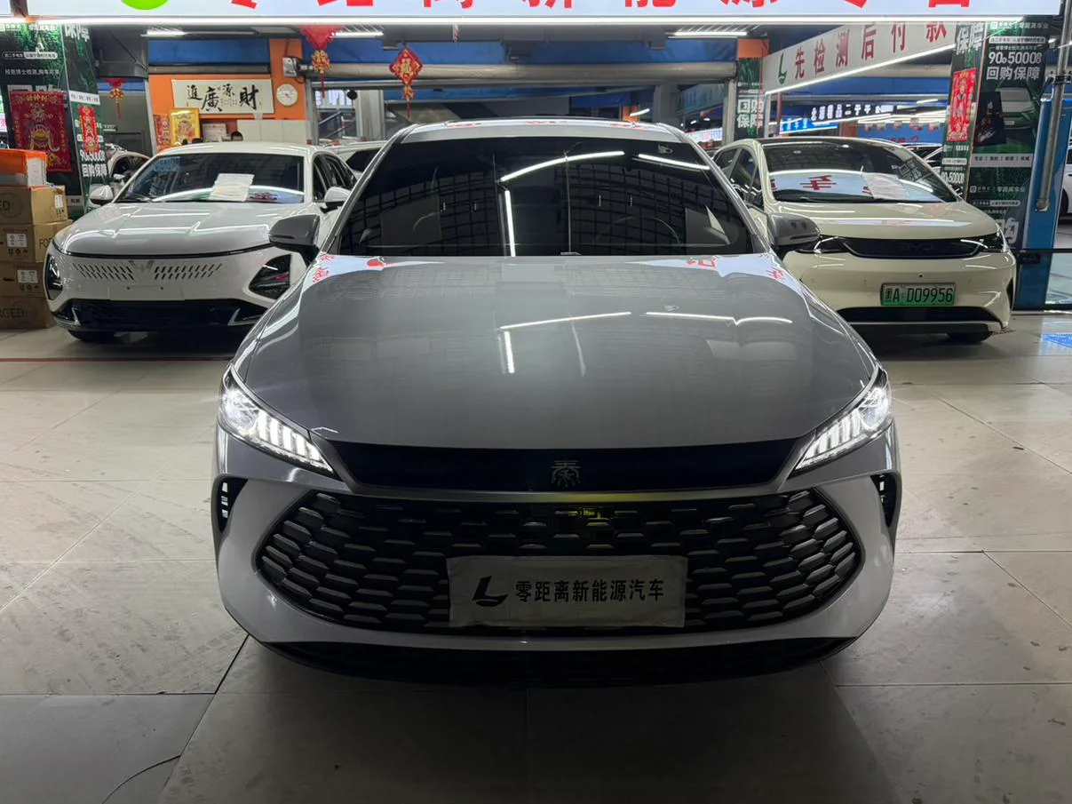 BYD Qin PLUS DM, 2026 — фото 2