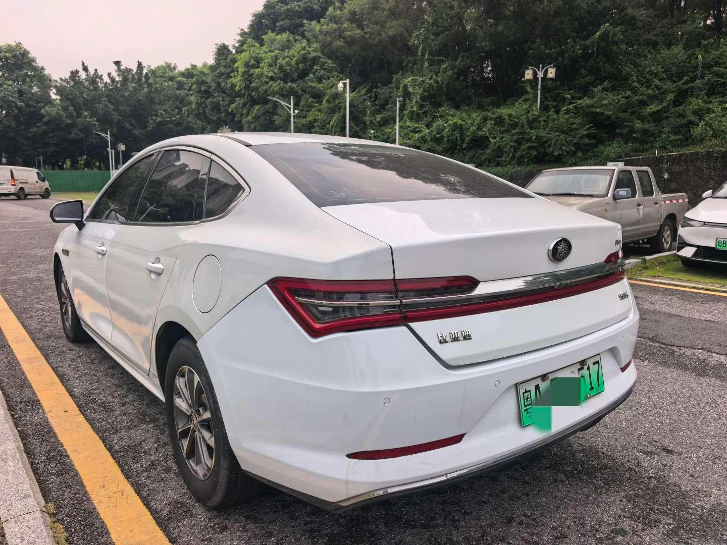 BYD Qin Pro DM, 2019 — фото 4